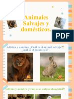 Animales Salvajes y Domésticos