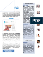 Examen Fisico de Cuello, Ganglios y Pulsoou