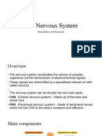 The Nervous System Slides