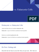 Prokaryotic vs. Eukaryotic Cells