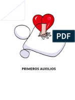 PDF Primeros Auxilios Apuntes