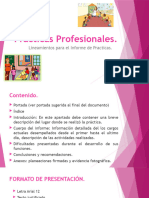 Practicas Profesionales - 060310