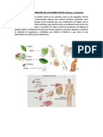 Nutricion en Seres Vivos (Unidad 3)