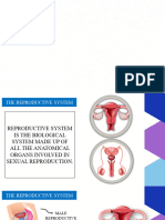 Quarter 3 Repro System