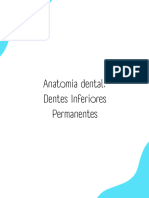 Anatomia Dental Dentes Inferiores Permanentes