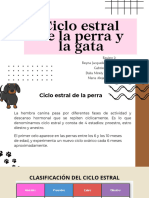 Ciclo Estral de La Perra y La Gata