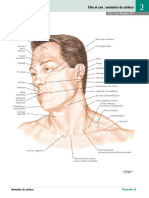 008 Tête Et Cou - Anatomie de Surface - Atlas Netter 19