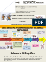 Linea de Tiempo Embriologia Del Sistema Respiratorio