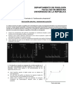 DG 5 Fisiología Microcirculación