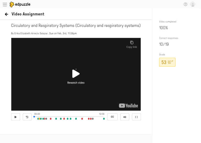 Student Video Assignment Review | PDF