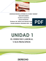 Principios y Fuentes Del Derecho Laboral