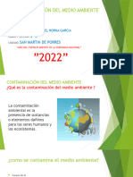 La Contaminación Del Medio Ambiente