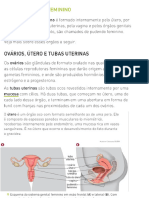 PDF Aula 2. Sistema Reprodutor Feminino