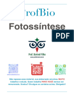 Fotossíntese