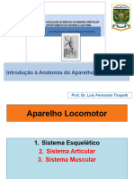 Introdução Ao Aparelho Locomotor II 2019 (1)