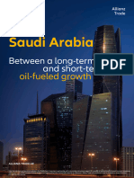 AE Ebook Saudi Arabia Report