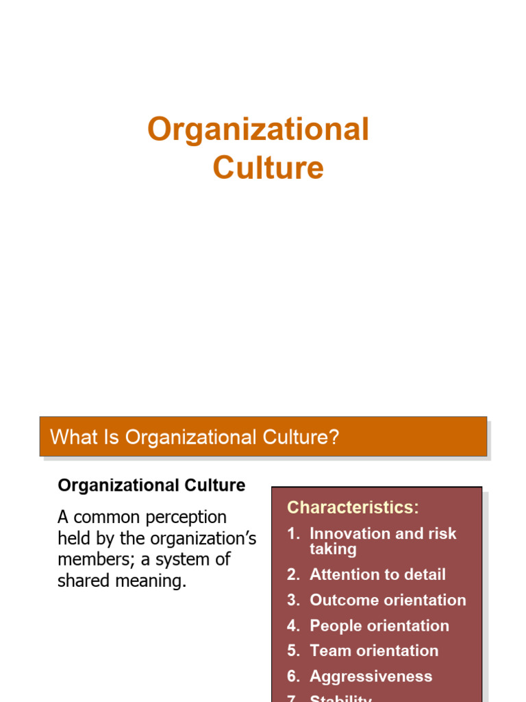 Organization Culture PDF
