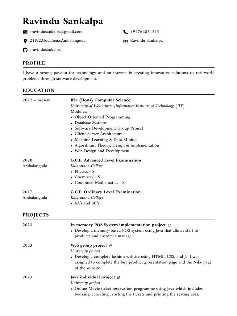 Software Developer Profile Summary | PDF | Object Oriented Programming ...