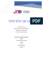 Tinción de Gram 3d Elías Calderón