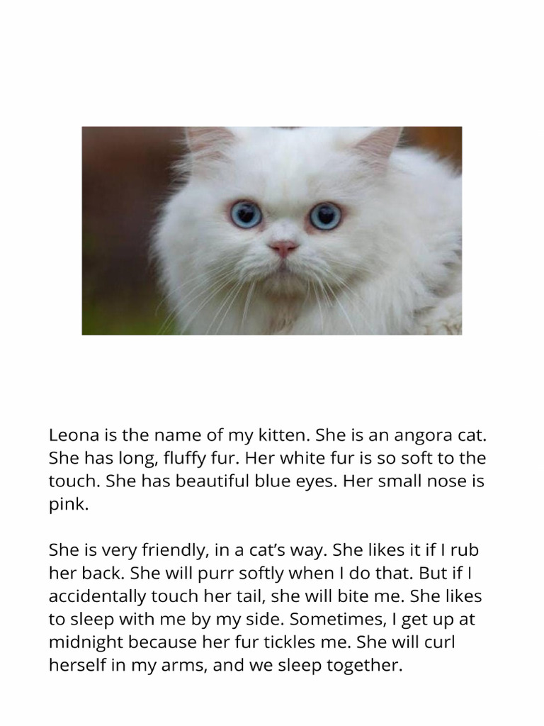 Teks Deskripsi Bahasa Inggris Tentang Kucing | PDF
