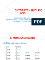 P7 - Carbohydrate - Nucleic Acid