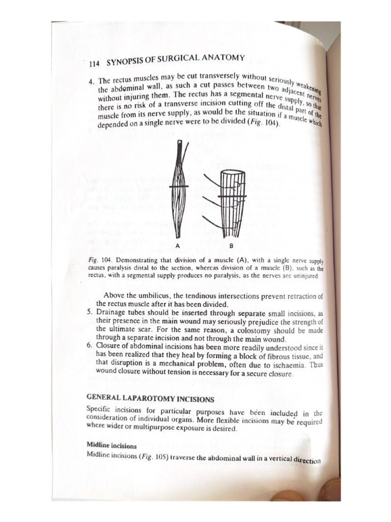 114 Synopsis of Surgical Anatomy | PDF