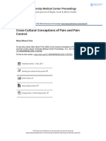 Cross-Cultural Conceptions of Pain and Pain Control