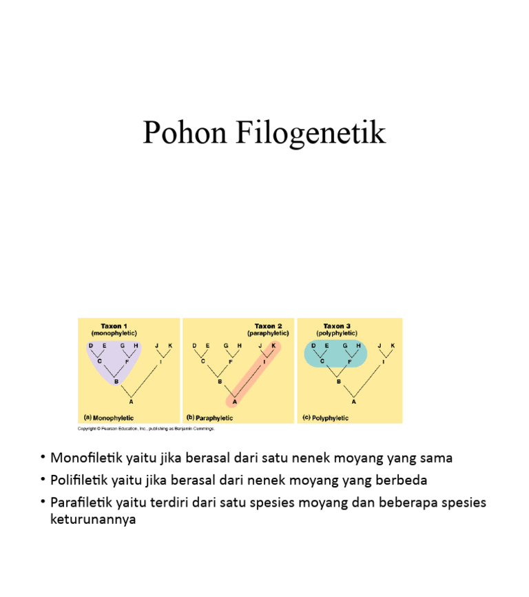 Pengertian Pohon Filogenetik dan Tipe-tipe | PDF | Seni & Disiplin ...