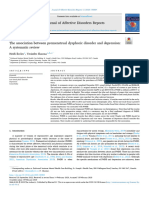 The Association Between Premenstrual Dysphoric Disorder and Depression - A Systematic Review