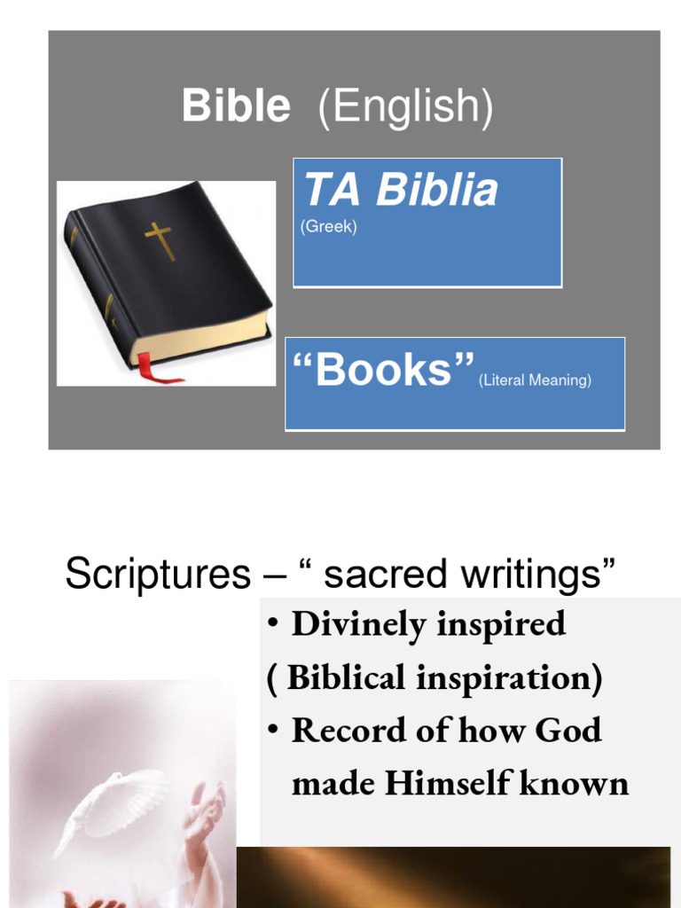 Bible+grade+7+2022 | PDF