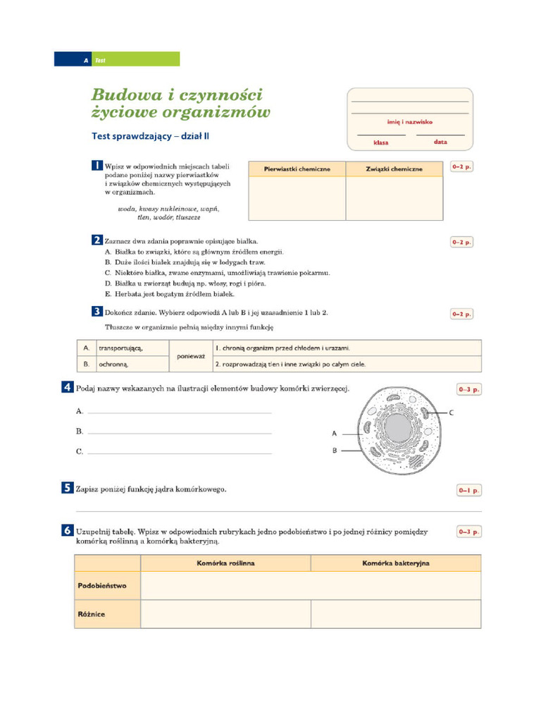 Biologia Klasa 5 Sprawdzian Pdf Budowa I Czynności życiowe Organizmów