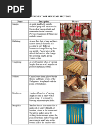 Musical Instruments of Mountain Province