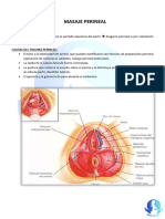 Masaje Perineal Evlreconv