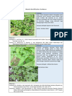 Weeds Identification Guidance 7des