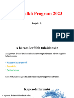 Mérföldkő Program