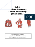 (2021) Handout For Surface Anatomy - Lower Extremity