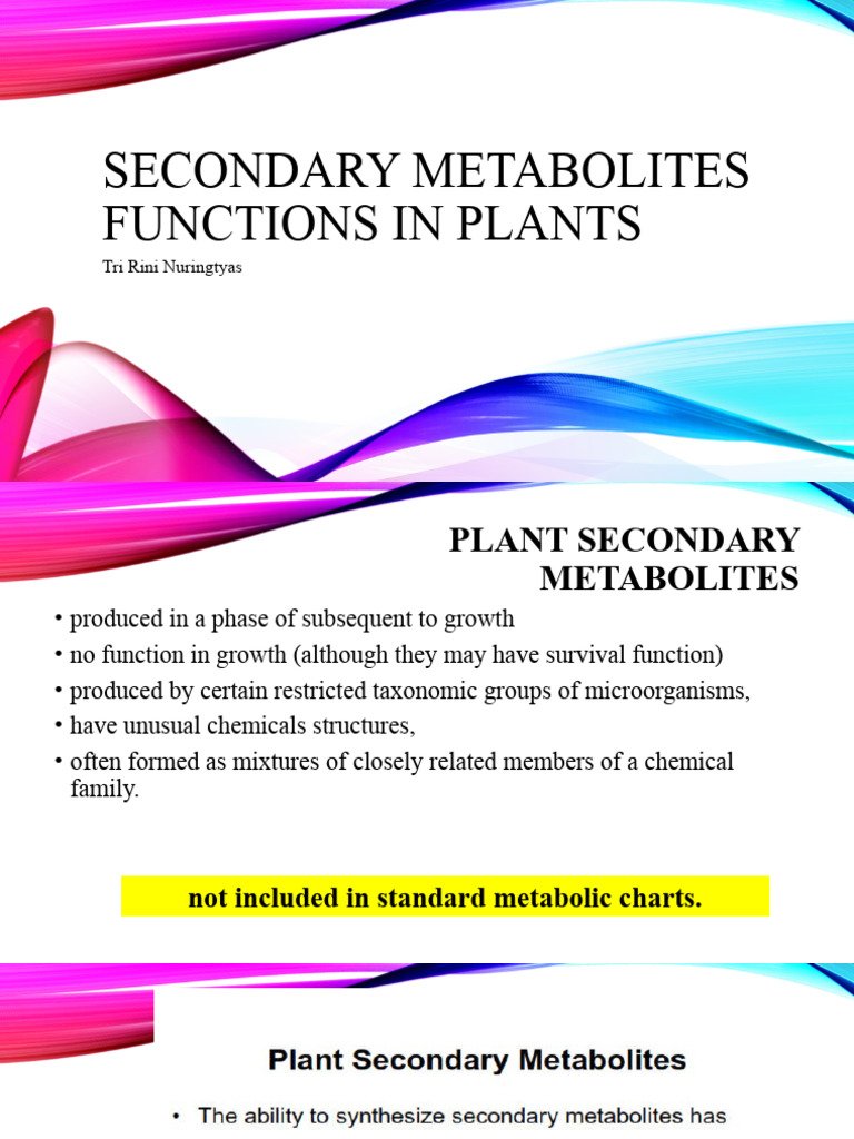 Infp Secondary Functions