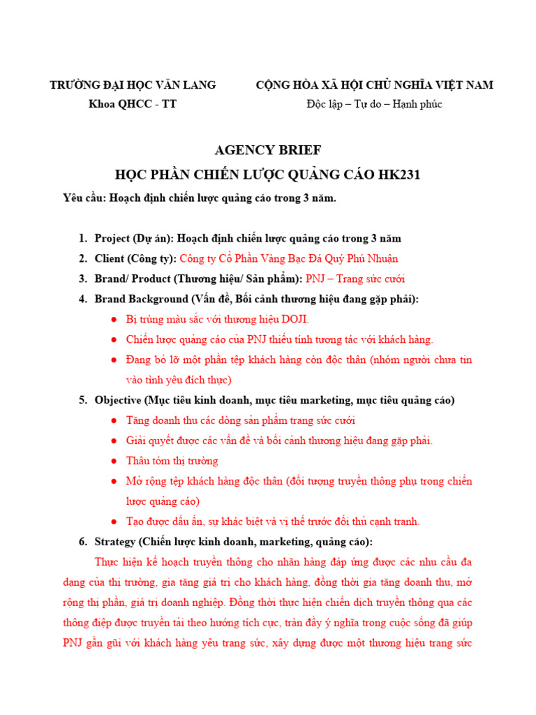 Creative Brief PNJ | PDF