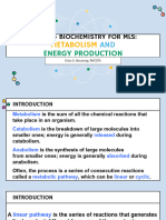 Biochem Metabolism and Energy Production