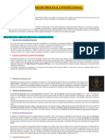 Derecho Procesal Constitucional