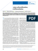 The Cell Cycle in Stem Cell Proliferation, Pluripotency and Differentiation