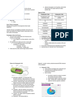 Biology Cells