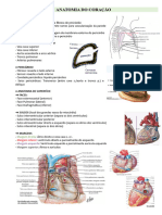 Anatomia Do Coração