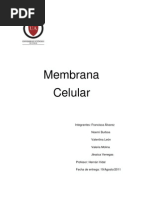 Membrana Celular y Sus Componetes Con Conclu2