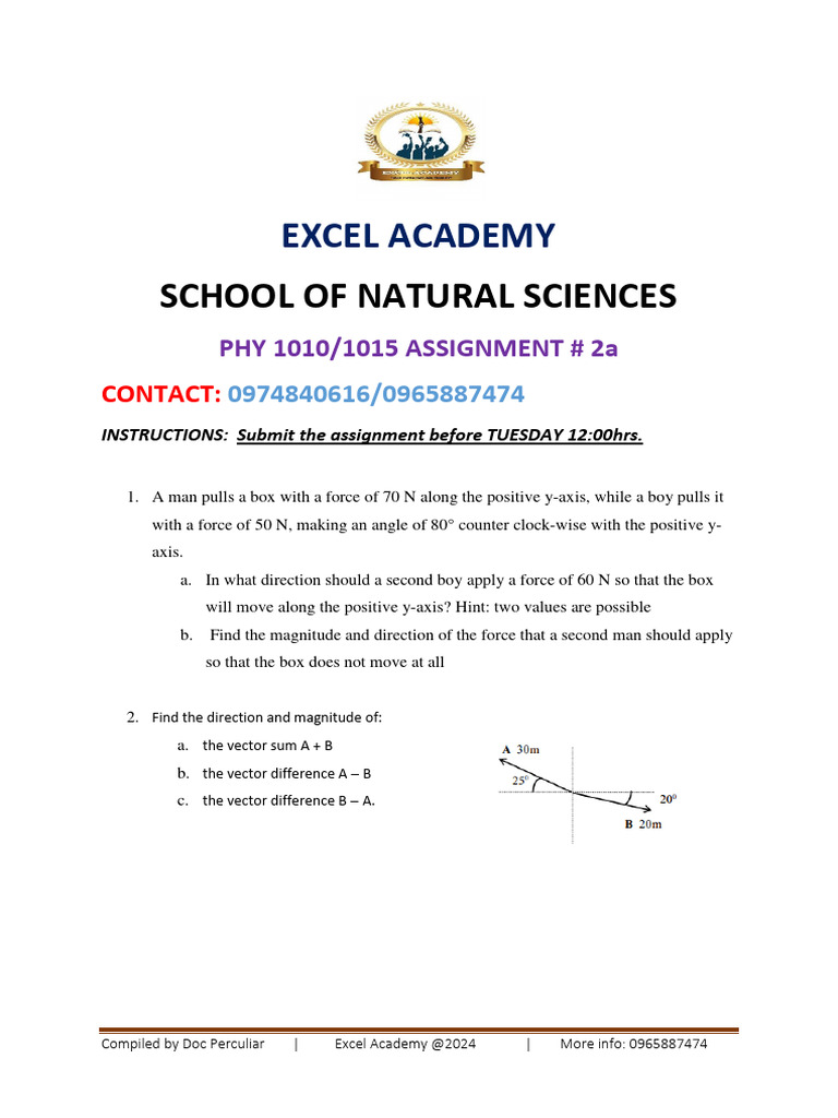 Physics Vector Assignment Guide | PDF