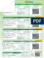 Permiso Circulacion Nunoaxre CRGW Joo