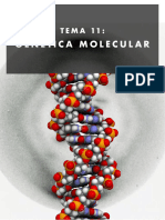 Genética Molecular