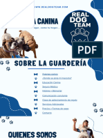 Guarderia Real Dog Team - FEBRERO 