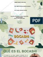 Informe Bocashi Dayana Murcia