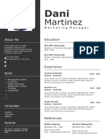 Professional CV Resume